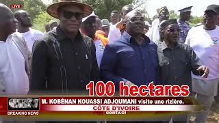 CÔTE DIVOIRE M KOBÉNAN KOUASSI ADJOUMANI visite une rizière [upl. by Enirehtahc241]