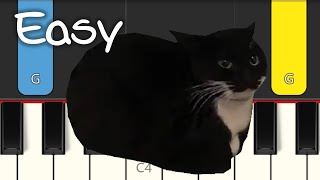 MAXWELL THE CAT  EASY PIANO TUTORIAL [upl. by Etyak17]