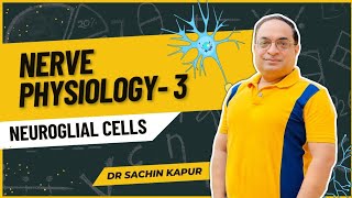 MBBS First Year  Nerve Physiology  Neuroglia amp Myelination  Dr Sachin Kapur  AIIMS [upl. by Jauch]