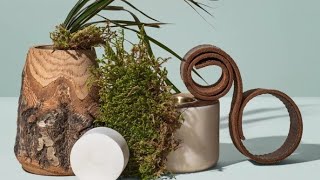 5 Vetiver fragrances for spring 2022 [upl. by Kciwdahc773]