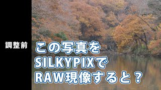 【チート級】イケてない写真をSILKYPIXでRAW現像すると？ [upl. by Rimahs]