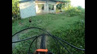 RAW Video  MTB Dawes 1 [upl. by Uriisa447]