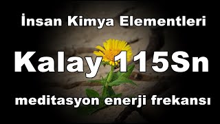 Kalay 115Sn  İnsan Kimya Elementleri [upl. by Aihsela685]