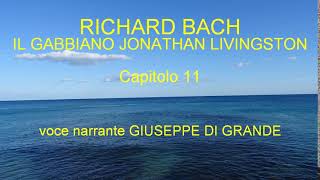 Richard Bach  Il Gabbiano Jonathan Livingston  Capitolo 11 Audiolibro [upl. by Keppel]