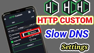 How to create a slow dns server and setup HTTP Custom slow DNS settings for secure browsing [upl. by Tish]