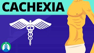 Cachexia Medical Definition  Quick Explainer Video [upl. by Adnelg]