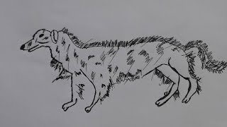 How to draw a Russian Borzoiborzoi puppiesborzoi temperamentsedona borzoi [upl. by Caffrey]