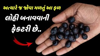 લોહી વધારતું બેસ્ટ ફળ  increase hemoglobin in blood [upl. by Ellah]