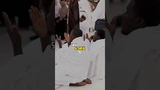 Listen Who are faithful people ❤️ shorts quran quranrecitation qurantranslation [upl. by Hamel]