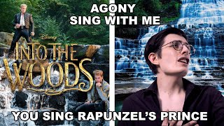 Agony quotInto the Woodsquot  Sing with Me You Sing Rapunzels Prince Karaoke [upl. by Marmawke]