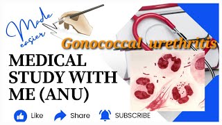 Gonococcal urethritisurogenital tract infection microbiology malayalam gonococcal urethritis [upl. by Tabbi]