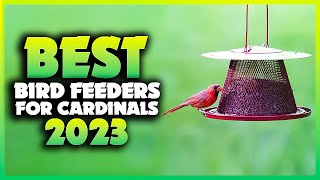 Top 5 Best Bird Feeders for Cardinals You can Buy Right Now 2024 [upl. by Frendel]