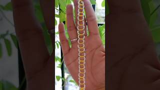 DIY Daisy Flower Seed Beads😱🥺 Bracelet  Beaded Bracelet Tutorialshortvideo [upl. by Schroeder]