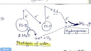 Biological Hydrogen Production hindi [upl. by Russia]