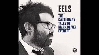 EELS  Parallels audio stream [upl. by Alyag543]