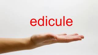 How to Pronounce edicule  American English [upl. by Otrebor]