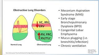 Neonatal Lung Volumes and Capacities [upl. by Prima615]