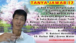 Tanya Jawab 17 [upl. by Riker]