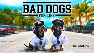 BAD DOGS FOR LIFE  The Wiener Dog Bad Boys Movie [upl. by Lehmann851]