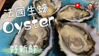 新鮮即開法國生蠔Oyster Gillardeau Mermaid seafood [upl. by Vinni]