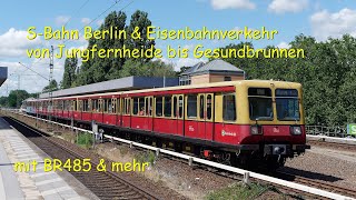 4K60 SBahn Berlin  BR485 auf der Ringbahn amp mehr [upl. by Daryl649]