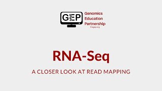 RNASeq Read Mapping [upl. by Fahland]