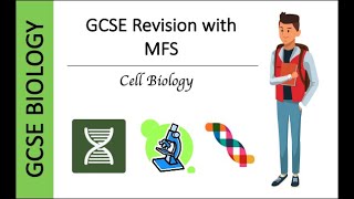 GCSE Biology Microscopy [upl. by Rosalie]