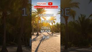 Chill Musik zum erholen und relaxen  Entspannungsmusik  15 [upl. by Dorr]