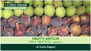 Trailer corso Frutti antichi per il frutteto parte 2 [upl. by Mitman]