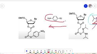 Oligonucleotides synthesis Biochemistry lecture [upl. by Atirma]