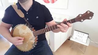 quotThe Tenpenny Bitquot on Irish tenor banjo [upl. by Yssenhguahs]