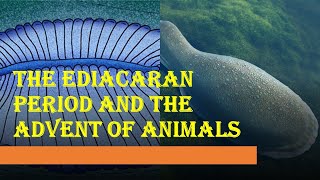 The Ediacaran Period and The First Animals [upl. by Cerallua]