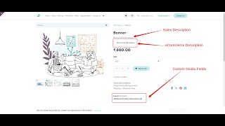 How to add custom studio fields on Odoo ecommerce product page [upl. by Ramed851]