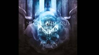 Ne Obliviscaris  Pyrrhic [upl. by Euphemiah521]