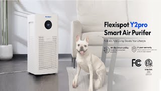 Flexispot FlowPlus Air Purifier Y2 pro [upl. by Donelu]