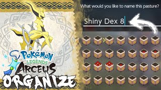 How to Organize Your Pastures in Pokemon Legends Arceus Shiny Living Dex  Alpha Living Dex Method [upl. by Llednahs821]