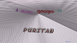 puritan  4 nouns which are synonym of puritan sentence examples [upl. by Ttessil894]