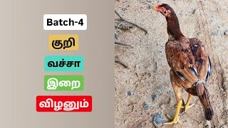 Batch4 update in tamil [upl. by Ribble290]