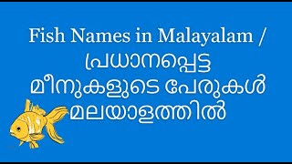 Fishnamesinmalayalam പ്രധാനപ്പെട്ട മീനുകളുടെ പേരുകൾ മലയാളത്തിൽEnglish and Malayalam Names of Fish [upl. by Alyled]