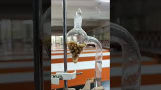 Ganongs Respirometer  Study of Aerobic Respiration in Germinating seeds [upl. by Eiramasil]