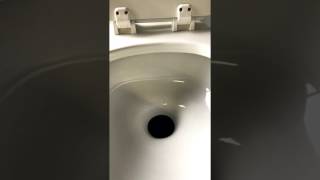 Low Water Toilet Flushing [upl. by Akcinat]