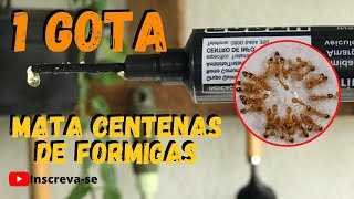 COMO ACABAR COM FORMIGAS CASEIRAS E DOCEIRAS  FORMIGAS DE DENTRO DE CASA  VEJA ESSE VÍDEO [upl. by Gentilis]