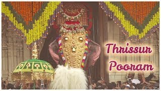 Thrissur Pooram 2019  A Divine Extravaganza of Paramekkavu and Thiruvambadi [upl. by Marko]