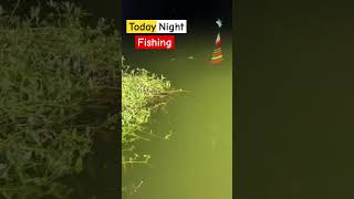 Today night fishingshortsfishreels [upl. by Marius]