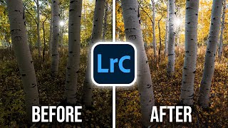 Editing Fall Photography in Lightroom Classic  FULL Walkthrough [upl. by Patrich]