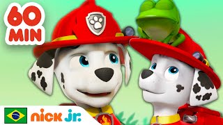 Patrulha Canina  1 hora dos melhores resgates do Marshall  Nick Jr em Português [upl. by Htaeh]