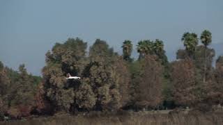 Eflite F16 hot landing 09222024 [upl. by Gora]