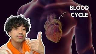 Cardiac Cycle Explained  Board Exam [upl. by Omolhs897]