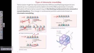 Types of chromatin remodeling [upl. by Hoffman]