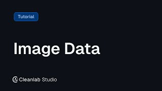 How to Use Cleanlab Studio with Image Data [upl. by Beverlie507]